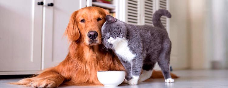 Tipi di assicurazione