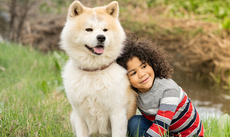 L&rsquo;assicurazione per animali domestici &egrave; un buon investimento?